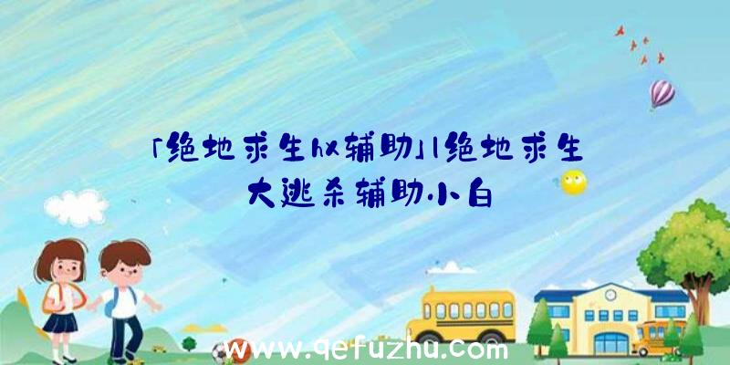 「绝地求生hx辅助」|绝地求生大逃杀辅助小白